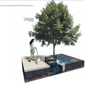 Urban Eco Tree Pond Solution1