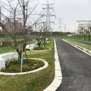 Urban Eco Tree Pond Solution2