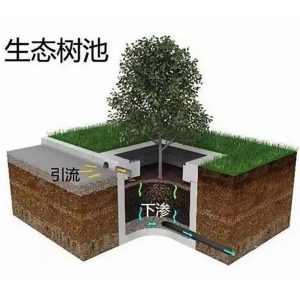 Urban Eco Tree Pond Solution4