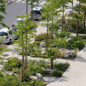 Urban Eco Tree Pond Solution9