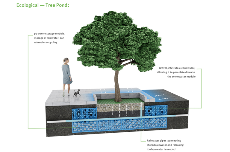 Ecological tree pools