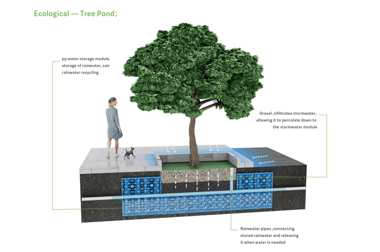 Ecological Tree Pond