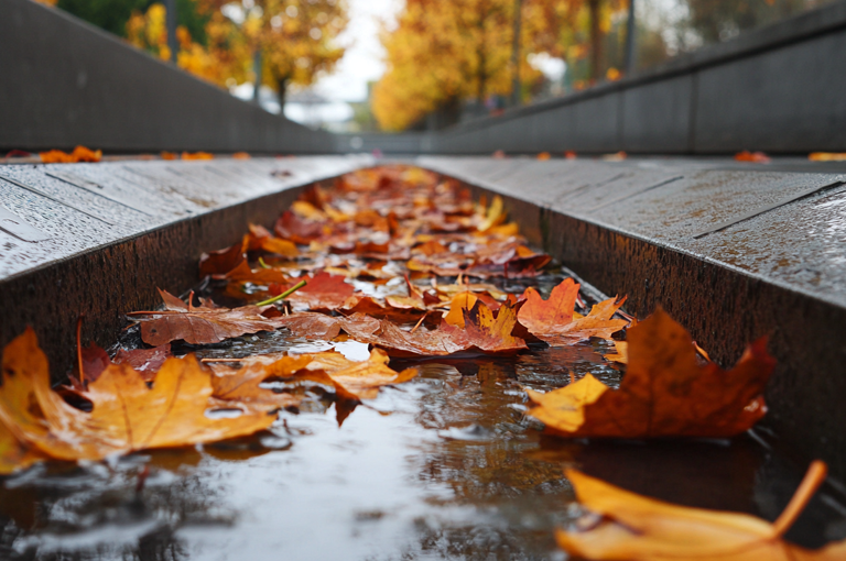 leaves_on_the_underground_Rainwater_Attenuation